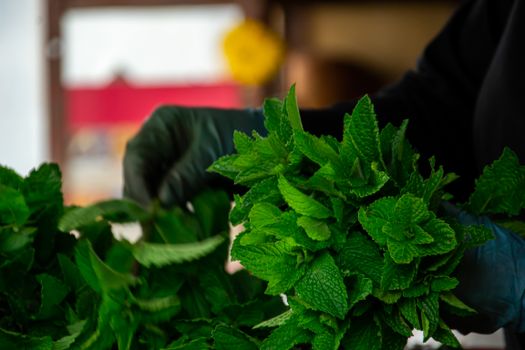 1 handful of fresh mint