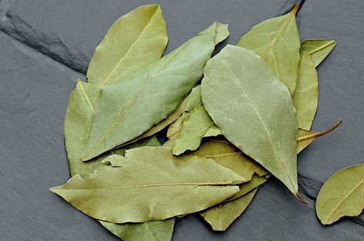 1 laurel leaf