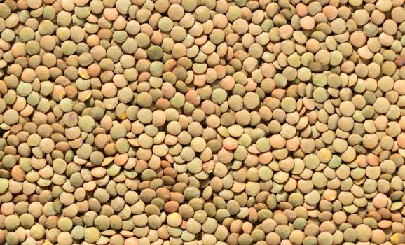 2 cups of cooked lentils