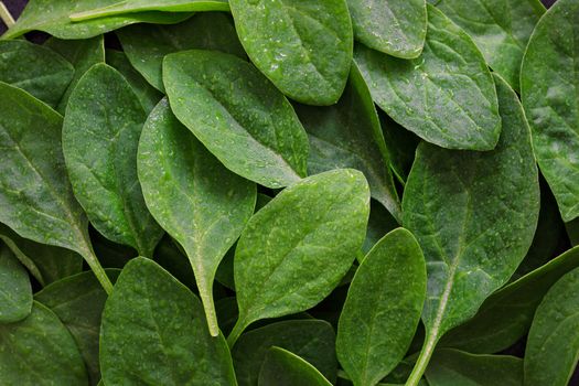 2 punches of fresh spinach