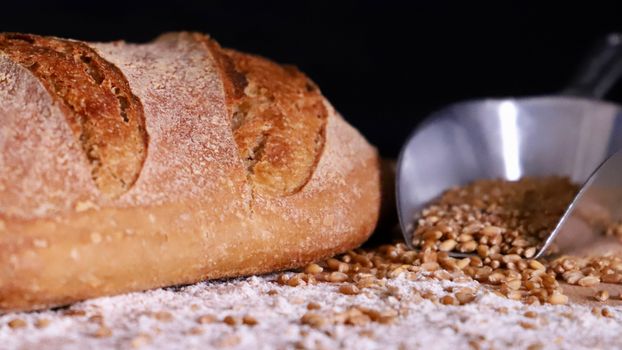 3 cups of wheat flour or whole wheat flour