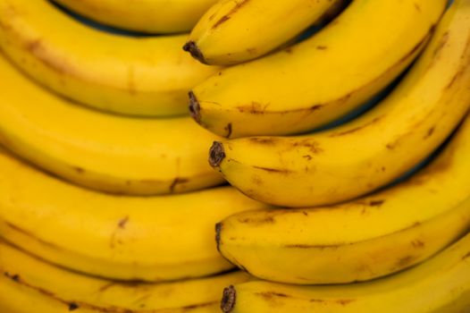 4 mature medium bananas on foot