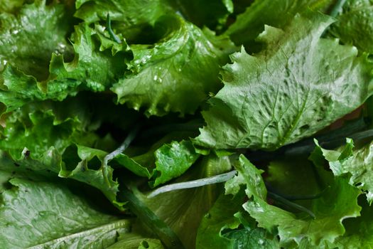 Optional: fresh lettuce leaves