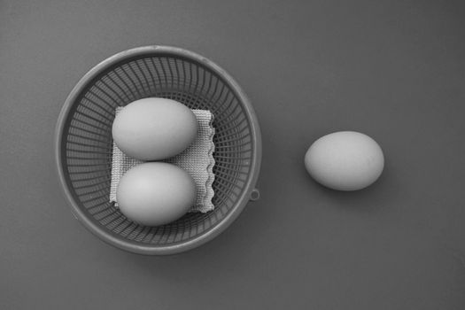 eggs